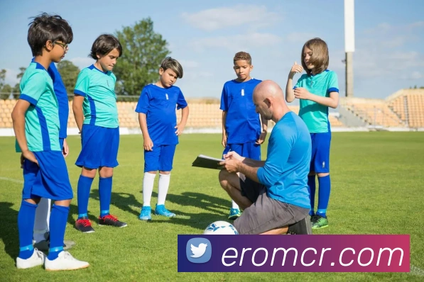 奖项证书
